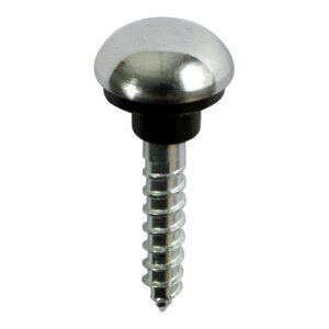 Mirror Screw Chrome