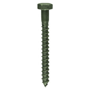 Coach Screw DIN 571 - Green