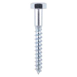 Coach Screw DIN 571 - BZP